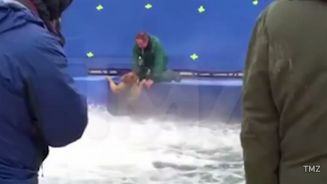 Premiere abgesagt: Skandal um Hundefilm 'Bailey'