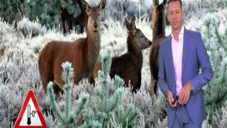 Das Wetter in Deutschland am 16. November 2017